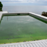 Come prevenire e trattare le alghe in piscina